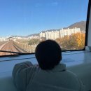 대저역 | 기차 탈 것 좋아하는 아이랑, 부산김해경전철 타기! (+갈만한 곳)