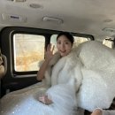 [Wedding] #23 본식 때는 편해야 되...🥹 꽃가마웨딩카 실속형 본식 이용 후기(서울➡️수원)