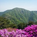 의령-의령-의령-D-4 이미지