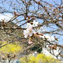 금하마을(도시재생) 1 | 후쿠오카에서 야마구치 온천마을 나가토유모토 가는법 신칸센