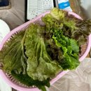 [청송] 약수로 만든 닭백숙과 닭불고기 내돈내산 솔직후기&lt;원조신촌식당&gt;