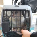 와우종합동물병원 이미지