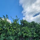 성광농장 이미지