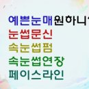 라인속눈썹