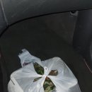 만개림 네이버블로그