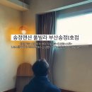 숙소] 평일기준 10만원대+바다 도보1분+오션뷰+스파 모두 누릴 수 있는 “송정맨션 풀빌라 부산송정1호점”