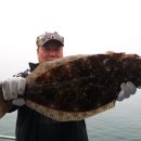 광어한마리 이미지