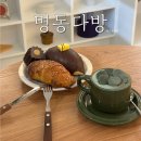 명동 카페 베이커리 전문 명동 다방 사월의 물고기 2호점