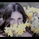 Seven Daffodils--Carol Kidd 이미지