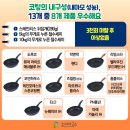 한국소비자원에서 직접 비교한 13종 프라이팬 후라이팬 추천 / 순위