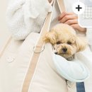 태민동물병원 이미지