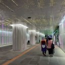 ☆ 2025년 9월 28일(일) 마곡동 서울식물원, 호수공원 둘레길걷기 사진!( 최종 답사) 이미지