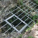 동굴에 평화의 동백이 이미지