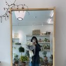 아베크플라워 이미지
