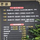 호이반점짜장인가짬뽕인가 | 경기광주 호이반점짜장인가짬뽕인가 수제순두부짬뽕 군만두 점심 후기