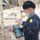 예천 가볼만한곳 그루작 꽃밭놀이터 아이와 또 다녀왔지