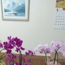 신월동192 이미지