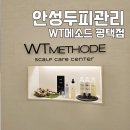 화우개발안성지점 | 안성두피관리 WT메소드 평택점 프리미엄 탈모케어 솔직후기