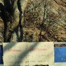 임천중학교 | [부여 가볼만한 곳] 성흥산성 사랑나무에서 인생샷 찍고 오기