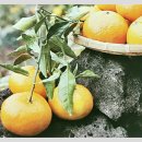 한살림 북구매장 이미지