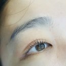 안암역 | 안암역 속눈썹펌 후기, 가성비 좋은 동대문메이크업샵 추천