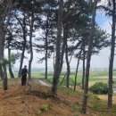 삼례산소 네이버블로그