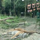 김밥매니아 역전점 | 천고나비 : 하늘은 높고 나는 살찌고