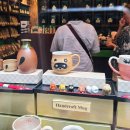 솔리테리 | [ 호주신혼여행_시드니 ] 블루마운틴 선셋별보기시크릿투어(페더데일 동물원+에코포인트+링커스 락...