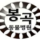 큰사랑동물병원 이미지
