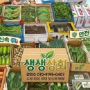 싱싱상회 - 밀양시 삼랑진로 139 | 싱싱상회