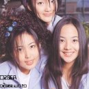 SES 카카오 검색결과