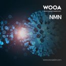 토마토성형외과의원 | 엔엠엔 NMN 효능