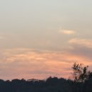 어느날성주 이미지