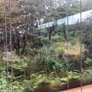 제주하우스 이미지