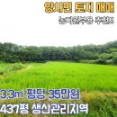 양사초교 이미지