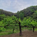 장고농장 이미지