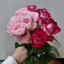 꽃오름몰 생화 장미꽃다발로 완성한 봄인테리어, 생화꽃다발 후기