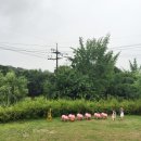 서현농장