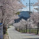 도리1길 이미지