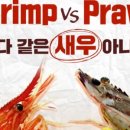 수제이야기 이미지