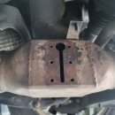 쿠스타코리아 이미지