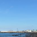 해안반점 이미지