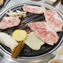 불막열삼 이미지