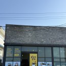 [제주 여행] 제주도 초보 자전거 여행 후기 (+ 제주 환상자전거길 루트 + 대여방법)
