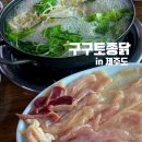 구구토종닭 | 제주(조천읍)-'구구토종닭'(닭고기샤브샤브)(도민맛집)(솔직후기)