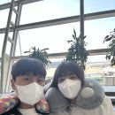 🇹🇭 남편이랑 6월 방콕 3박5일 1일차 💖(방콕만 3번째)(타이항공,아르테호텔,쩟페어야시장,만짜이마사지...