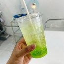 퍼지머그 이미지