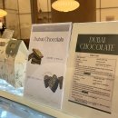 포레드썸머 이미지