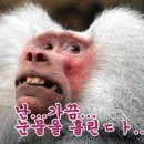 본원 이미지