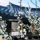 소쇄원(주차장) 네이버블로그